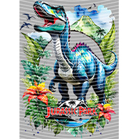 Cartoons and other-CO 4570